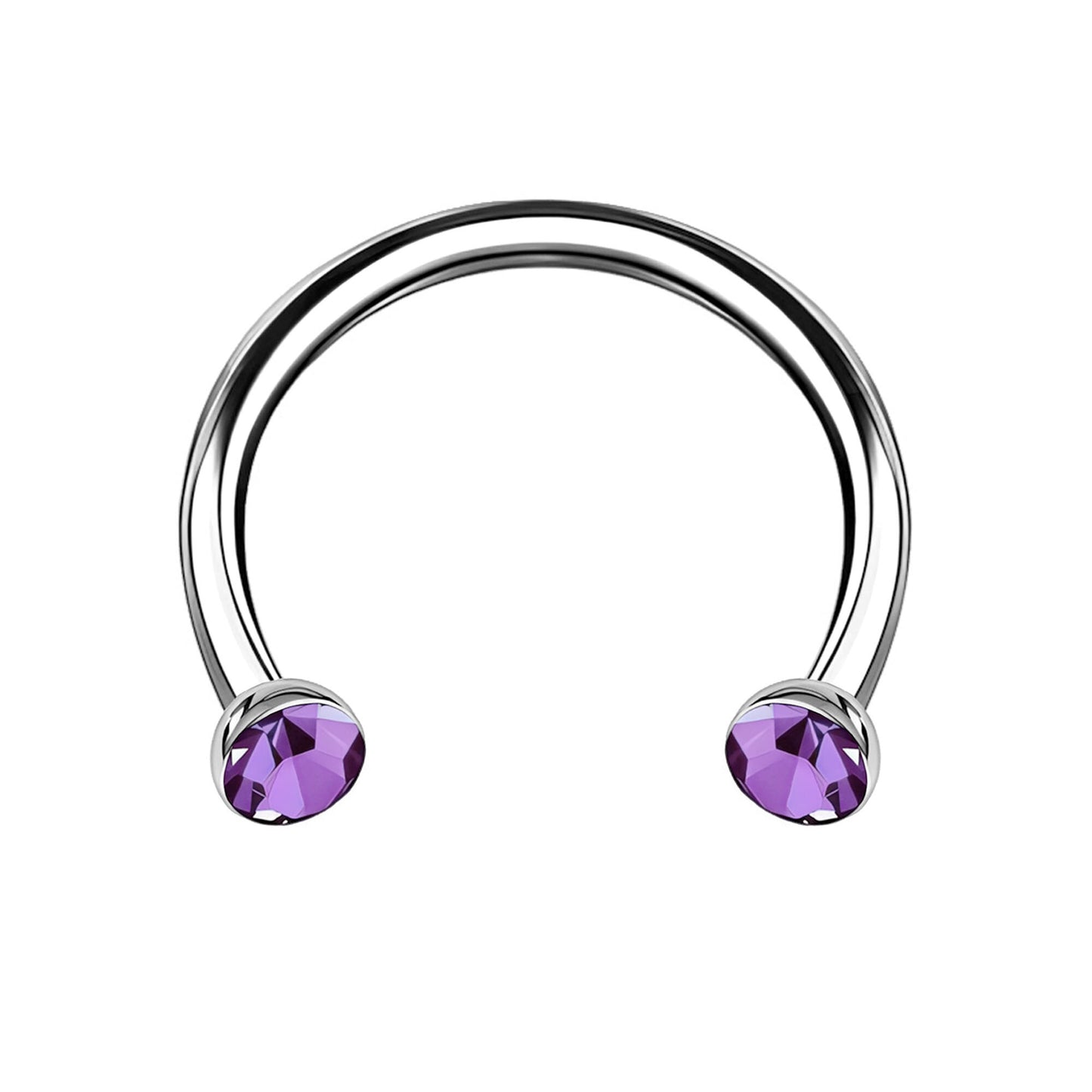Titanium Horseshoe Ring with Purple Crystals