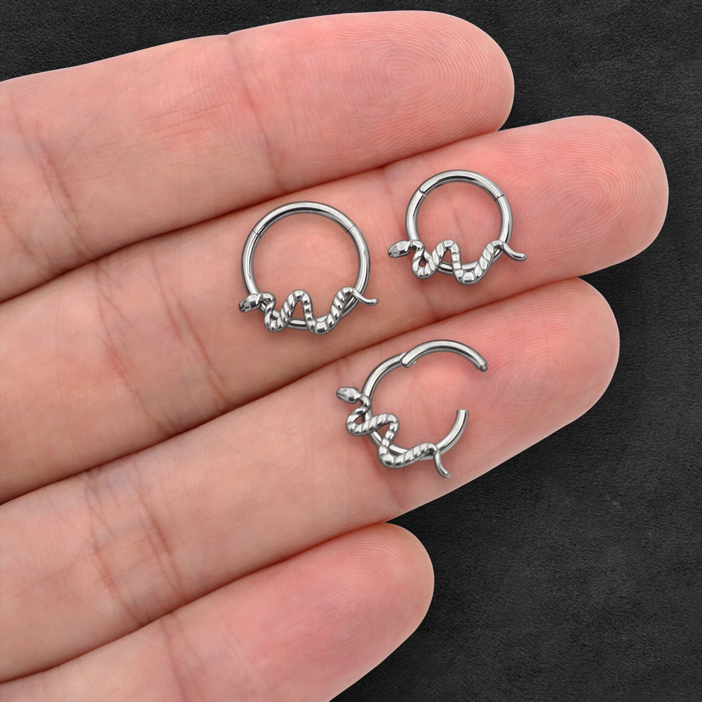 Titanium Clicker Ring with Twisted Snake