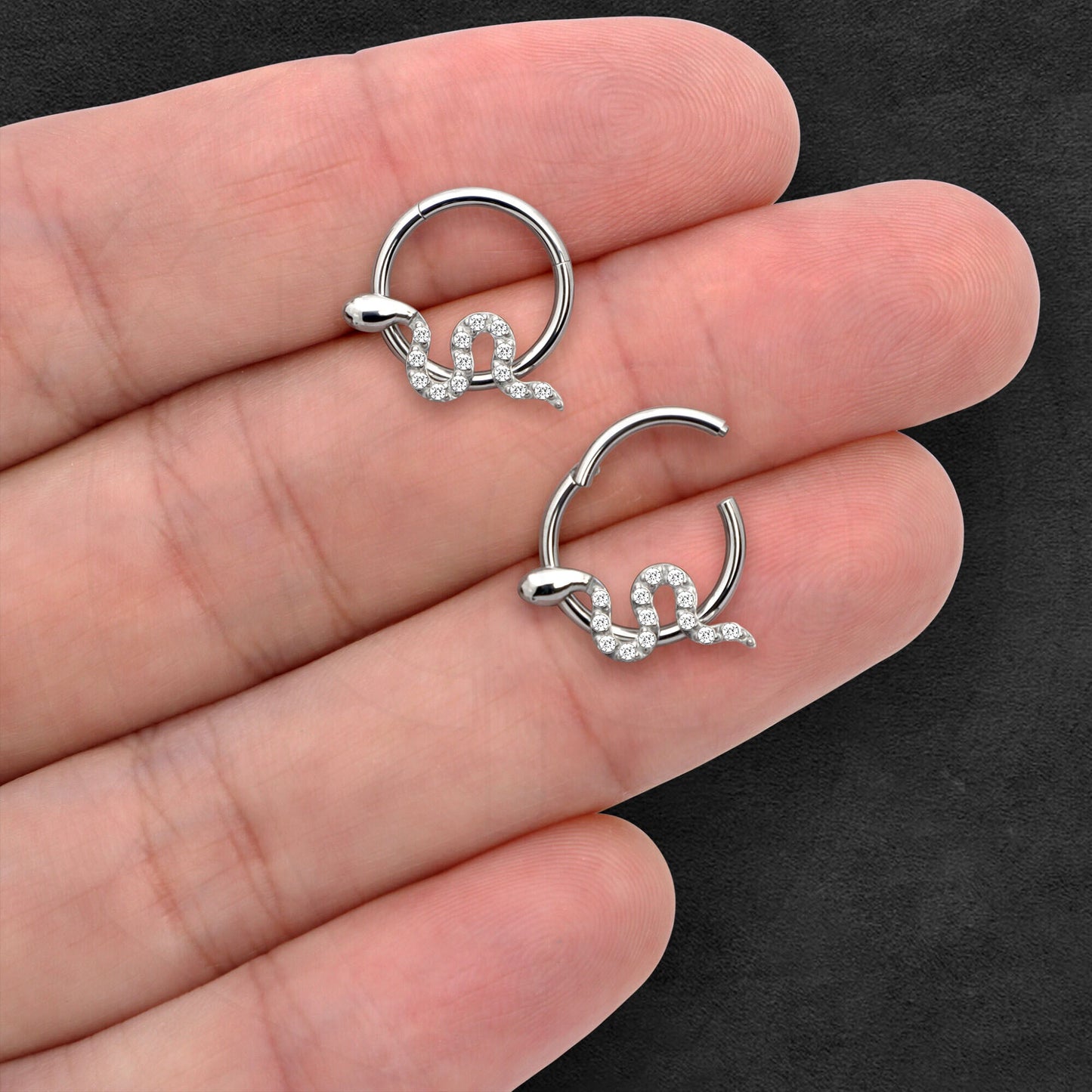 Titanium Clicker Ring with Snake Figure and Zirconia