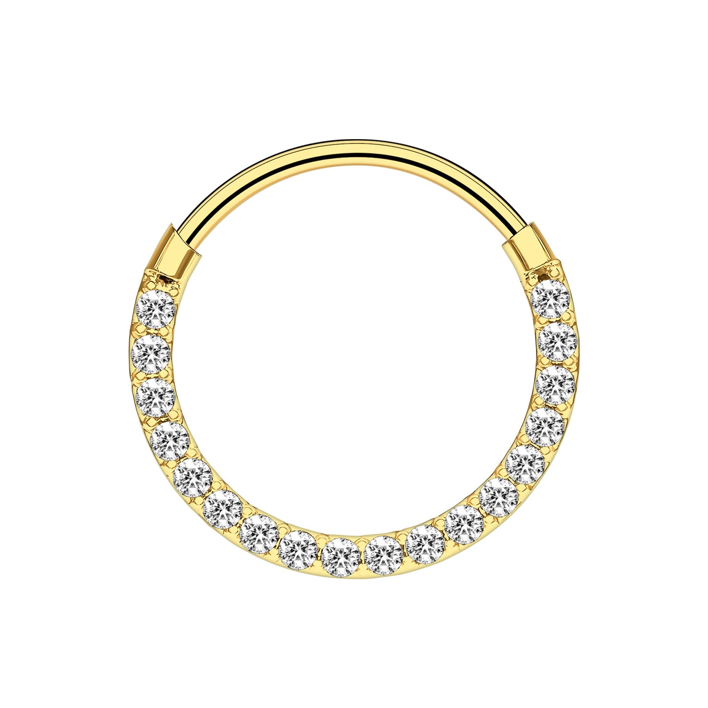 Titanium Clicker Ring with Thin Segment and Zirconia