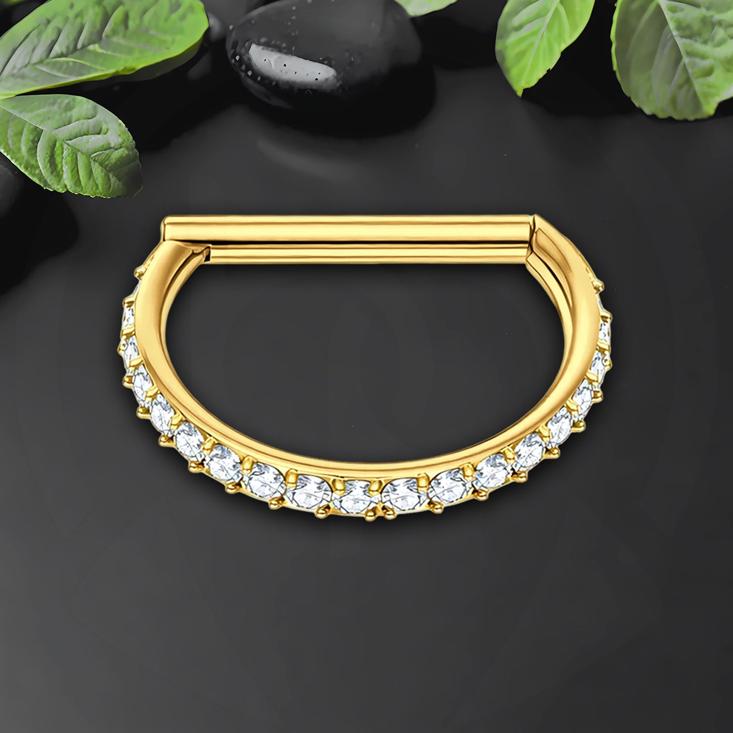 Titanium Clicker Ring in D Shape Style and Zirconia