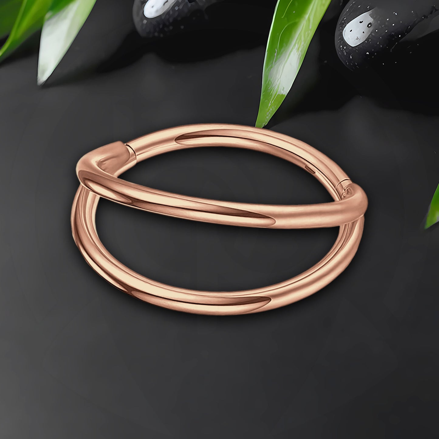 Titanium Clicker Ring in Classic Double Hoops Style