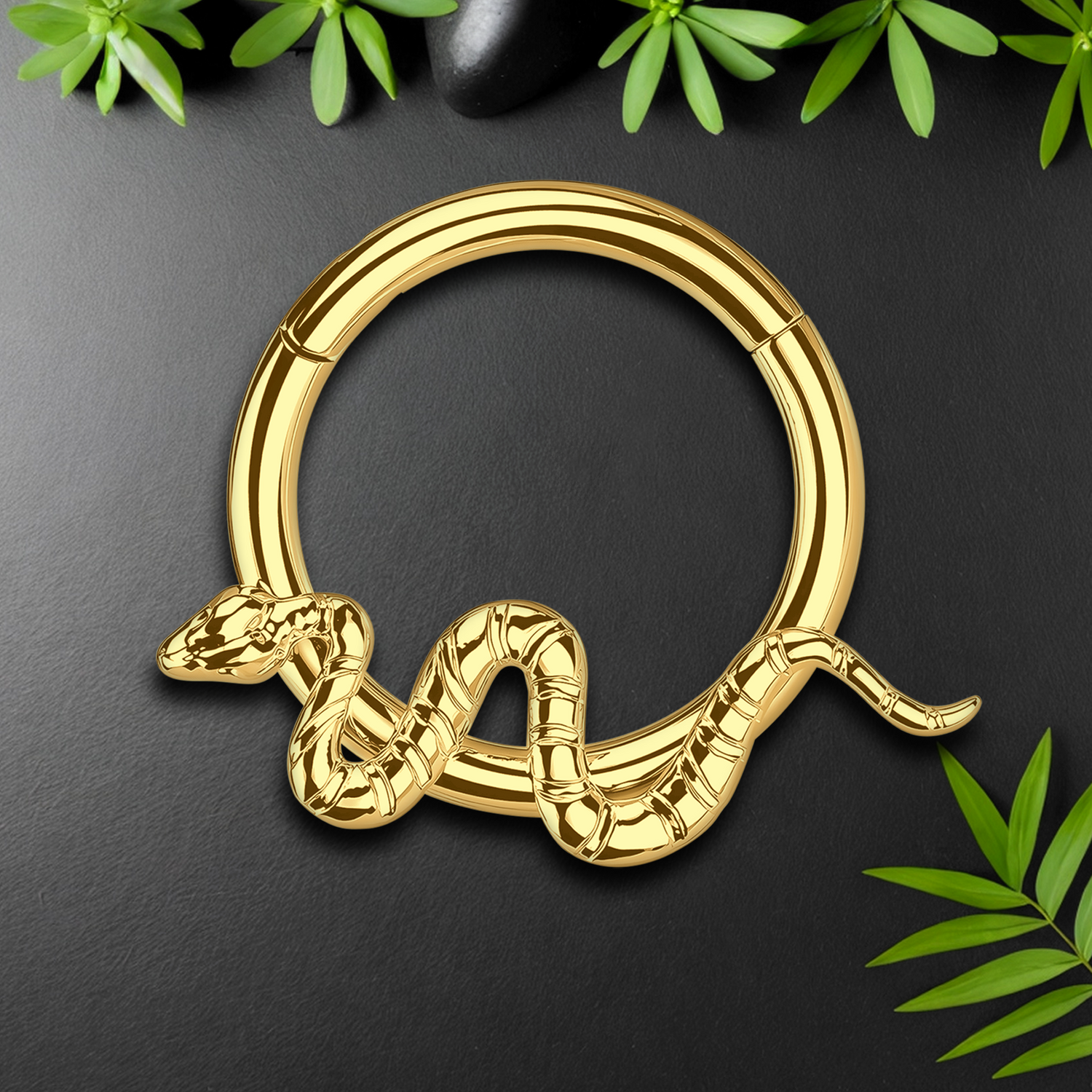 Septum Jewelry