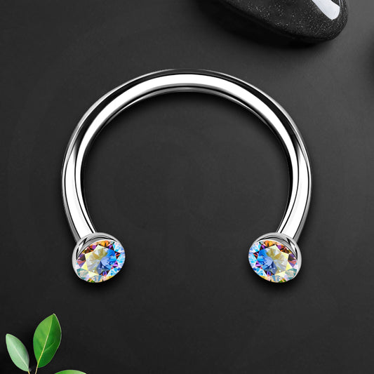 Titanium Horseshoe Ring with AB Crystals