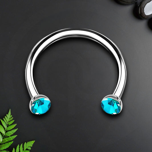 Titanium Horseshoe Ring with Aqua Crystals