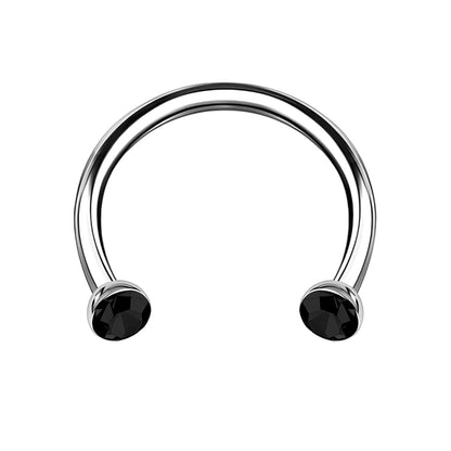 Titanium Horseshoe Ring with Black Crystals