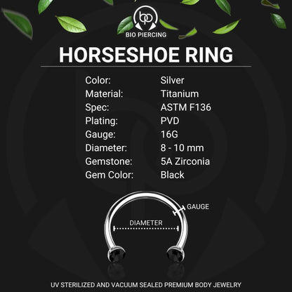 Titanium Horseshoe Ring with Black Crystals
