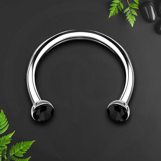 Titanium Horseshoe Ring with Black Crystals