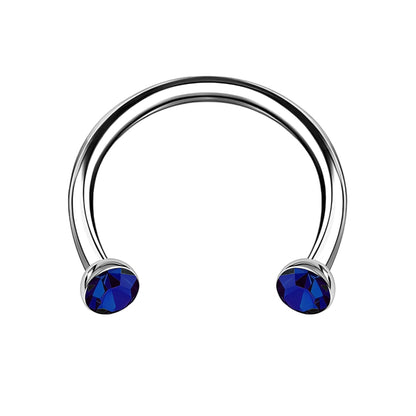 Titanium Horseshoe Ring with Blue Crystals