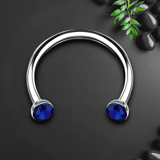 Titanium Horseshoe Ring with Blue Crystals
