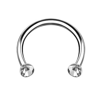 Titanium Horseshoe Ring with Clear Crystals