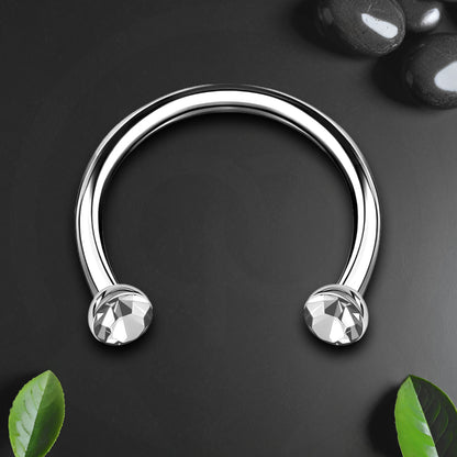 Titanium Horseshoe Ring with Clear Crystals