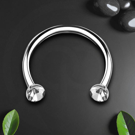 Titanium Horseshoe Ring with Clear Crystals