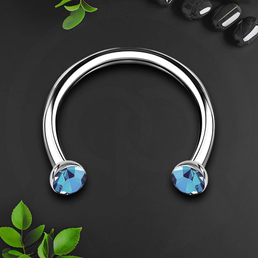 Titanium Horseshoe Ring with Light Blue Crystals