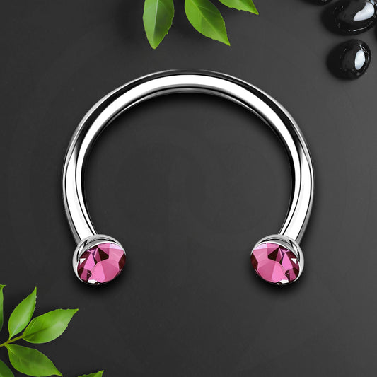 Titanium Horseshoe Ring with Pink Crystals