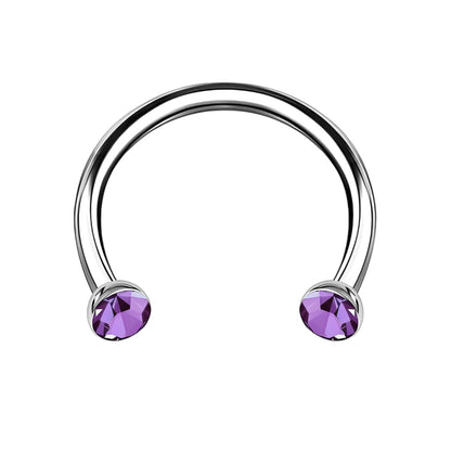 Titanium Horseshoe Ring with Purple Crystals