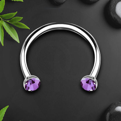 Titanium Horseshoe Ring with Purple Crystals