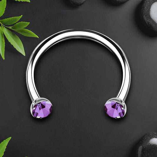 Titanium Horseshoe Ring with Purple Crystals