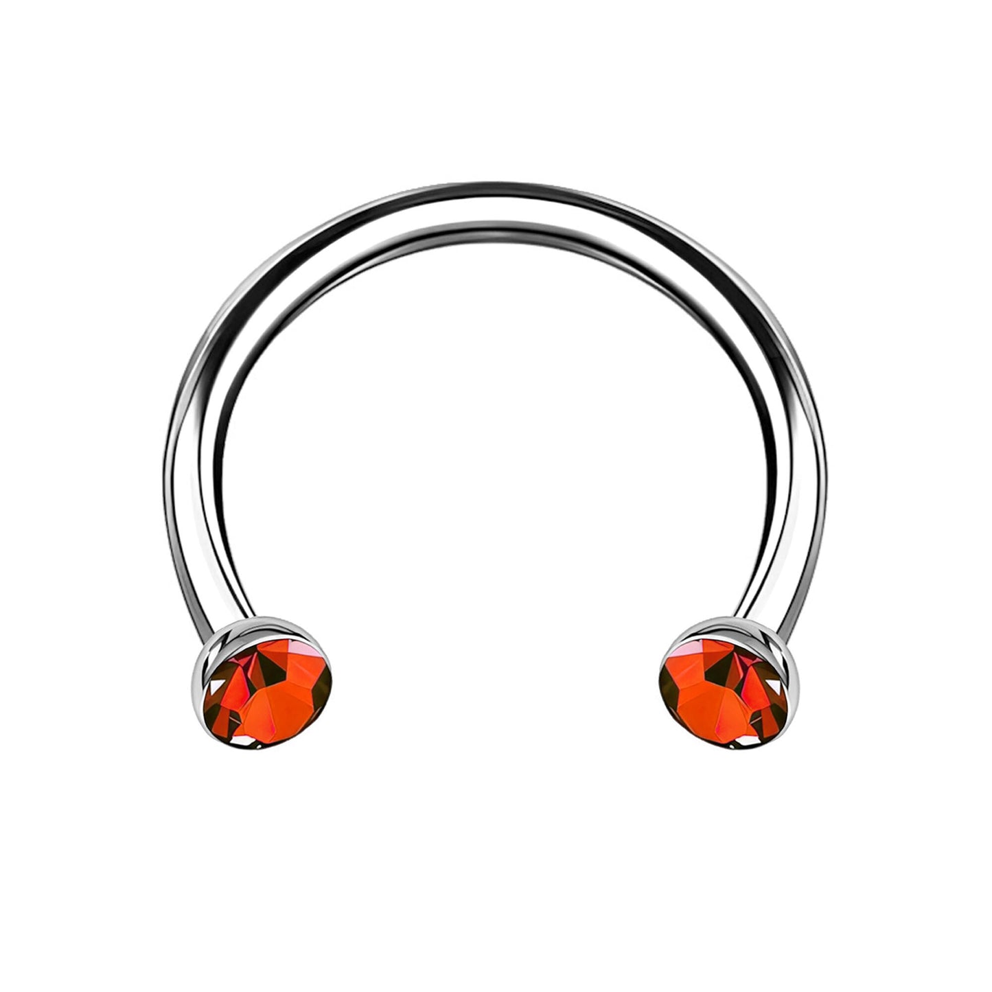 Titanium Horseshoe Ring with Red Crystals