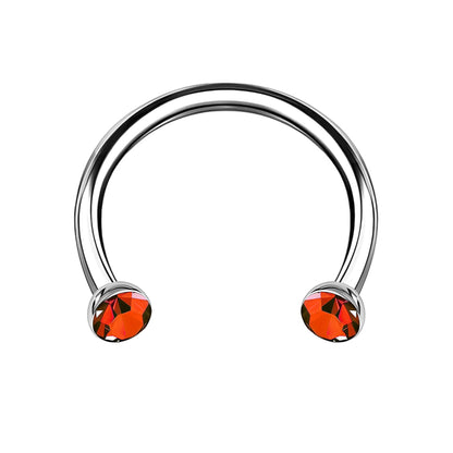 Titanium Horseshoe Ring with Red Crystals