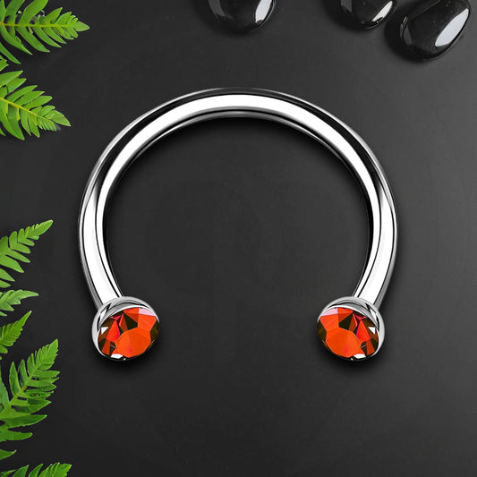 Titanium Horseshoe Ring with Red Crystals