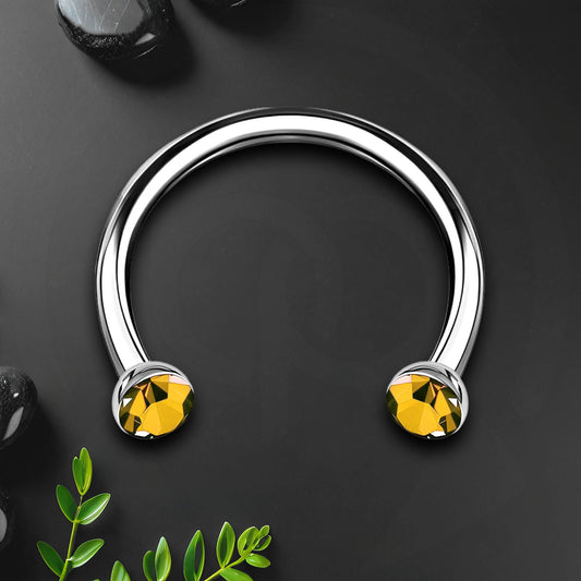 Titanium Horseshoe Ring with Yellow Crystals