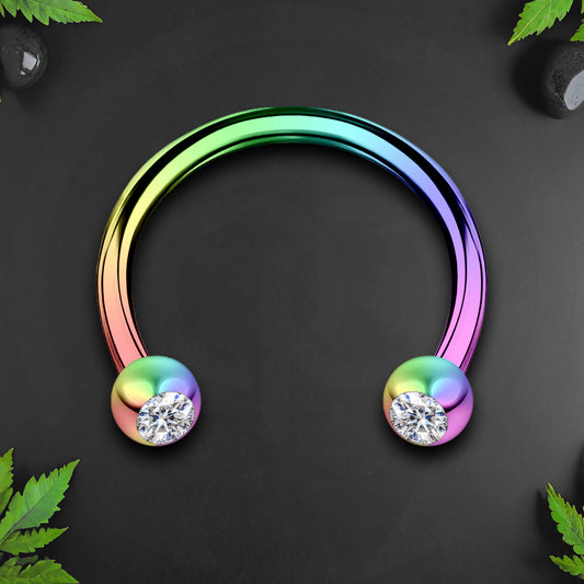 Surgical Steel Horseshoe Ring in Rainbow with Clear CZ