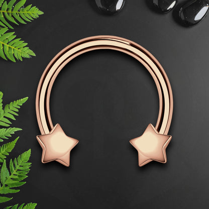 Surgical Steel Horseshoe Ring with Rose Gold Stars