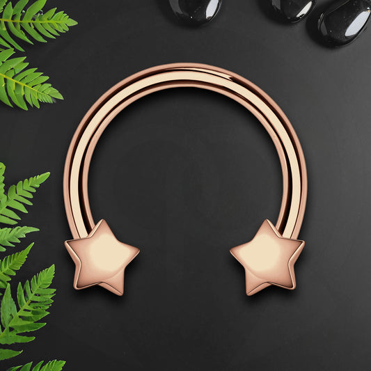 Surgical Steel Horseshoe Ring with Rose Gold Stars