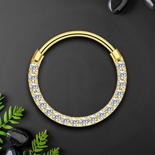 Titanium Clicker Ring with Thin Segment and Zirconia