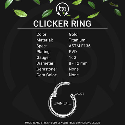 Titanium Clicker Ring in Classic D Shape Style