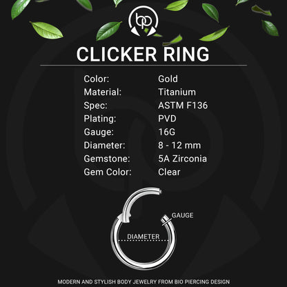 Titanium Clicker Ring in D Shape Style and Half Side CZ