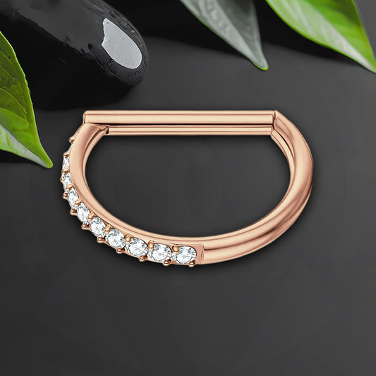 Titanium Clicker Ring in D Shape Style and Half Side CZ