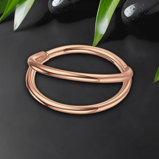 Titanium Clicker Ring in Classic Double Hoops Style