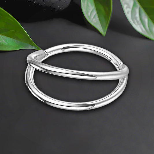 Titanium Clicker Ring in Classic Double Hoops Style