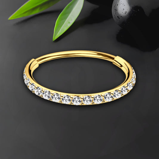 Titanium Clicker Ring in Classic Style with Thin Segment